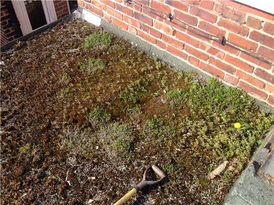 Flat Roofing Lincoln