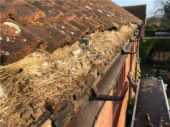 Soffits & Fascias